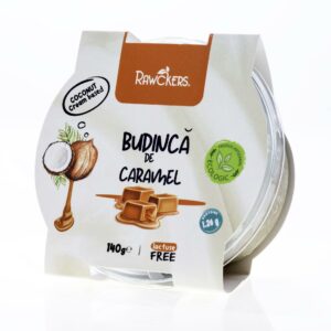 Budincă ECO din cremă de cocos, cu caramel