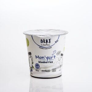 Monyurt Blueberries – alternativă vegetală la iaurt din nuci caju ECO, cu afine